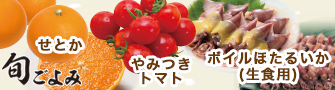 【旬ごよみ】やみつきトマト/せとか/ボイルホタルイカ（生食用）
