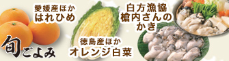 【旬ごよみ】白方漁協 槍内さんのかき/徳島産ほか オレンジ白菜/愛媛産ほか はれひめ