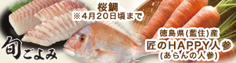 【旬ごよみ】徳島県（藍住）産匠のHAPPY人参/桜鯛